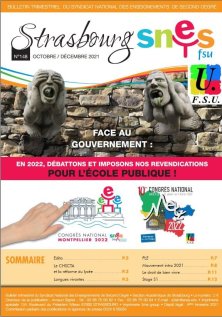 Strasbourg Snes n°148