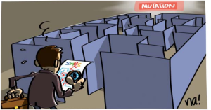 Réunions d'information - Mouvement intra-académique 2019