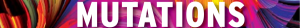 Mutations INTRA 2019 - dates et horaires