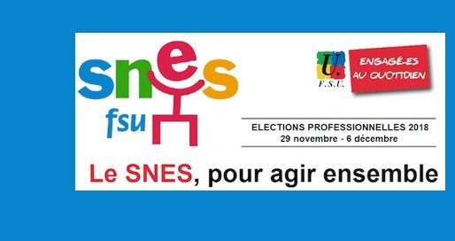 Elections professionnelles : le vote de la confiance