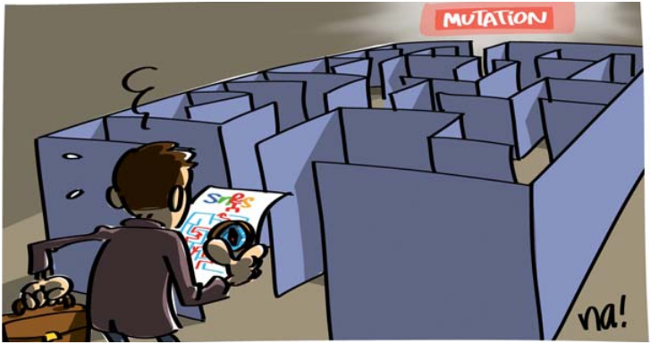 Réunions d'information - Mouvement intra-académique 2019