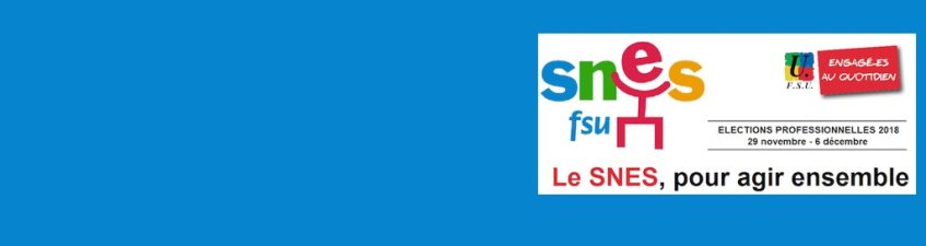 Elections professionnelles : le vote de la confiance